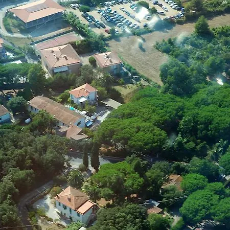 Edera Procchio (Isola d'Elba)