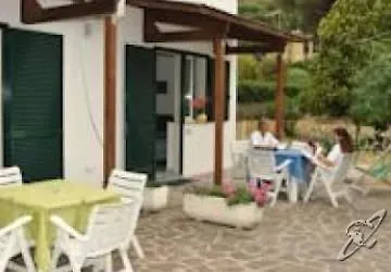 Edera Procchio (Isola d'Elba)