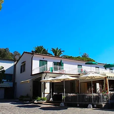 Edera