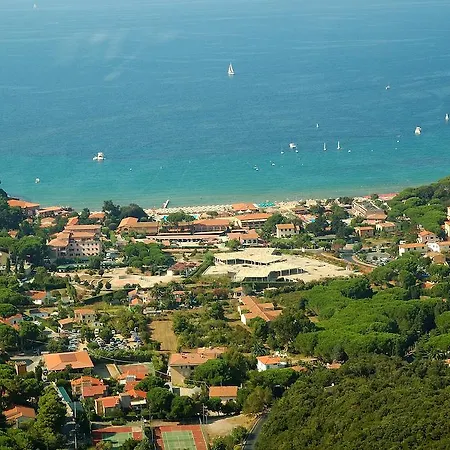 Edera